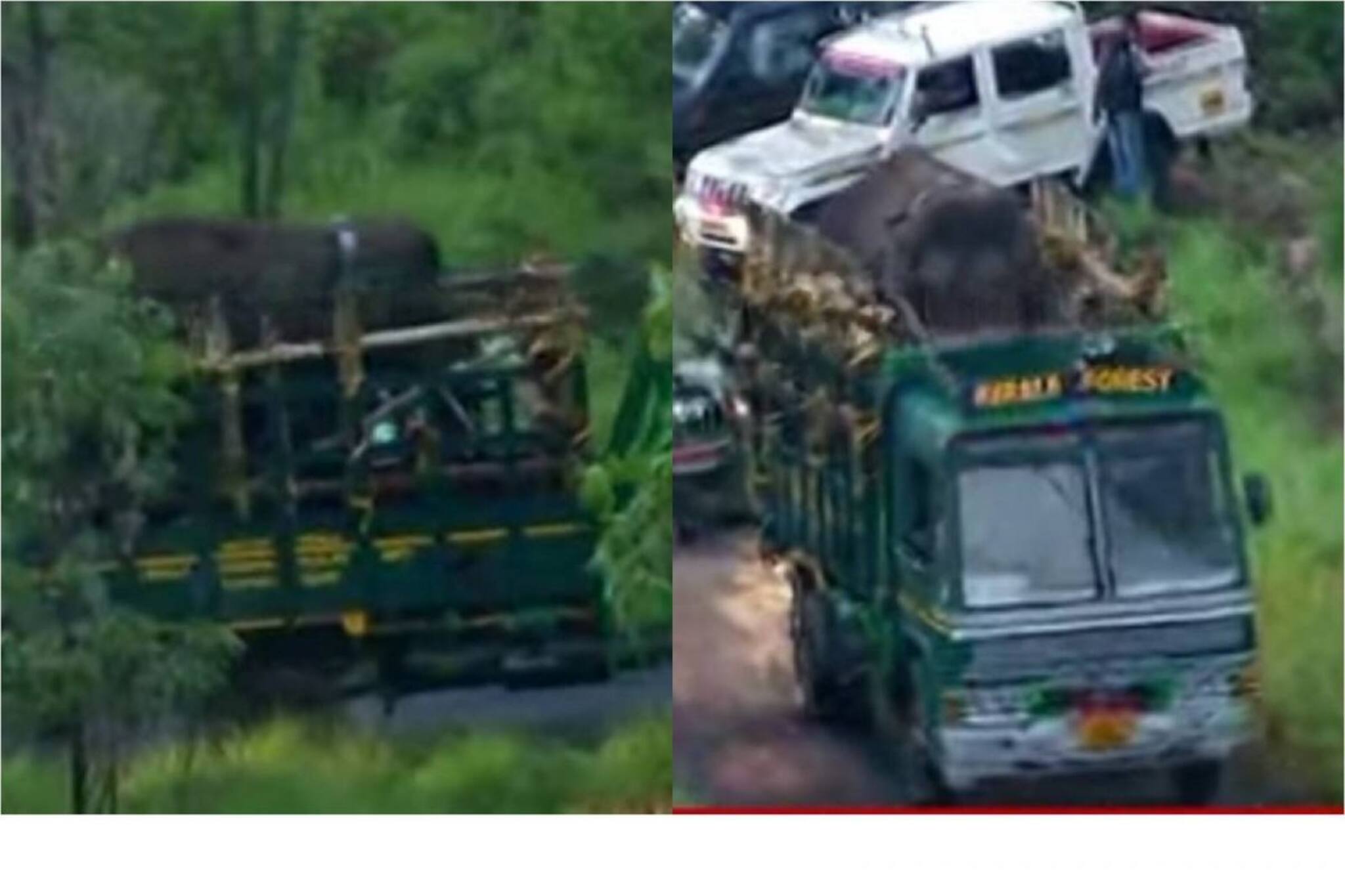 അരിക്കൊമ്പനെയും പിടി7-നെയും പിടികൂടാൻ സർക്കാരിന് ചെലവായത് 33 ലക്ഷം രൂപ