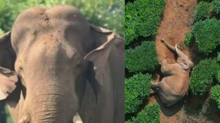 ഫയൽ ചിത്രം