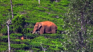 ഫയൽചിത്രം