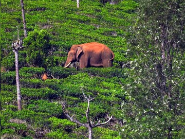 ഫയൽചിത്രം