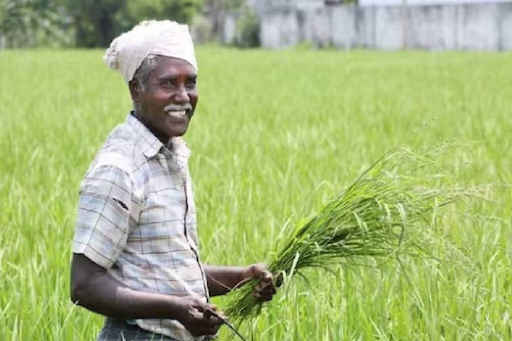 PM-Kisan | പിഎം-കിസാൻ പദ്ധതിയുടെ 14-ാമത്തെ ഗഡുവിന് അപേക്ഷിക്കേണ്ടത് എങ്ങനെ?