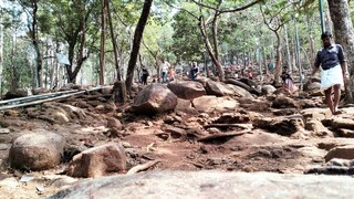 (Photo- Linto Peter/ Facebook)