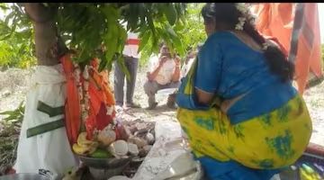  വളർന്നുവന്ന രണ്ട് മരങ്ങളെയാണ് പാരമ്പര്യമായി വിവാഹം കഴിപ്പിച്ചത്. ബന്ധുക്കളുടെയും സുഹൃത്തുക്കളുടെയും സാന്നിദ്ധ്യത്തിലായിരുന്നു ഇത്. മരങ്ങളെ വധുവിനെയും വധുവിനെയും പോലെ അലങ്കരിച്ചു. പിന്നീട് വരൻ വധുവിന് പ്രതീകാത്മകമായി താലി ചാർത്തി. വിവാഹത്തിനെത്തിയ അതിഥികൾ താലംബ്രാലു (മഞ്ഞളും കുങ്കുമവും ചേർത്ത അരി) ഒഴിച്ച് ദമ്പതികളെ അനുഗ്രഹിച്ചു. അതിഥികൾക്കായി വിഭവസമൃദ്ധമായ സദ്യയുമുണ്ടായിരുന്നു