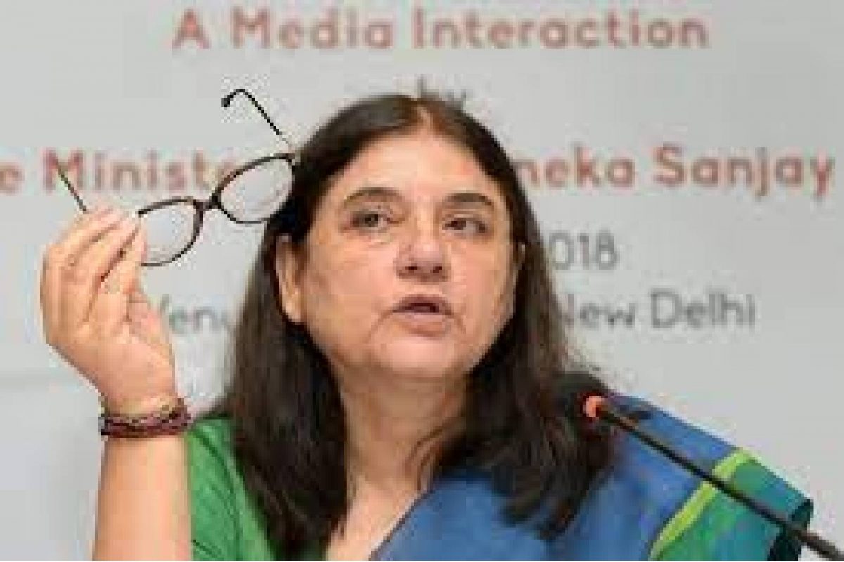 'രാജ്യത്തെ ഏറ്റവും മോശം വനംവകുപ്പ് കേരളത്തിലേത്'; കരടി മുങ്ങിച്ചത്ത സംഭവത്തില്‍ മേനക ഗാന്ധി