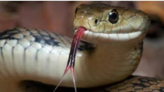 പ്രതീകാത്മക ചിത്രം പ്രതീകാത്മക ചിത്രം