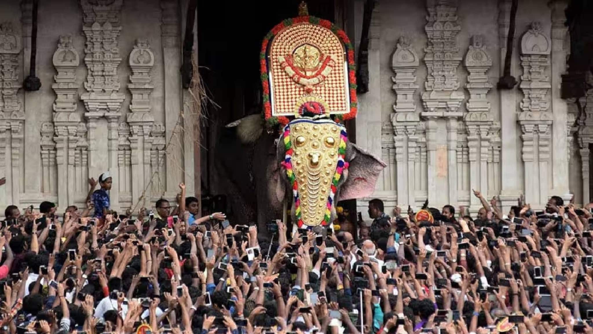 തൃശ്ശൂര്‍ പൂര വിളംബരത്തിന് ഇക്കുറിയും തിടമ്പേറ്റുക എറണാകുളം ശിവകുമാർ