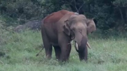 File Photo File Photo