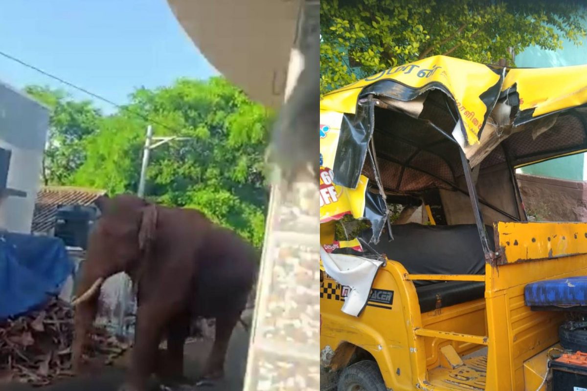 അരികൊമ്പൻ ദൗത്യം നാളെ; അരിക്കൊമ്പൻ പ്രശ്നക്കാരനെന്ന് തമിഴ്നാട് വനം വകുപ്പ്