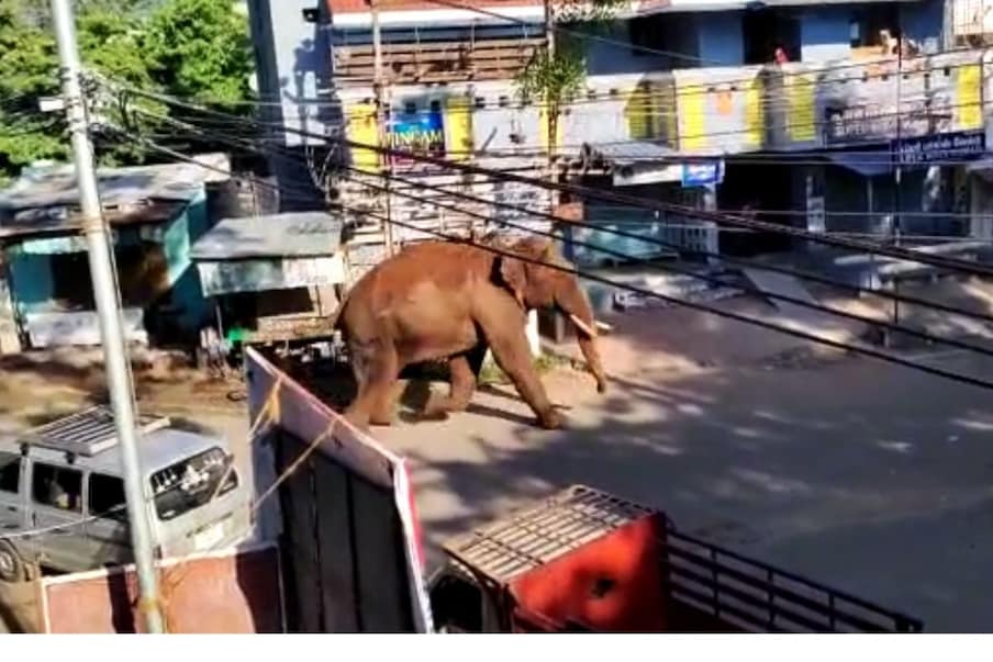 കുമളി: അരിക്കൊമ്പൻ കുമളിക്കു സമീപം അതിർത്തി കടന്ന് കമ്പം ടൗണിലെത്തി. നടരാജ കല്യാണമണ്ഡപത്തിന് പുറകിൽ വരെ അരിക്കൊമ്പൻ എത്തിയെന്നാണ് വിവരം. ആന കമ്പം ടൗണിലൂടെ ഓടുന്ന ദൃശ്യങ്ങൾ പുറത്തുവന്നു. നാട്ടുകാർ ബഹളം വയ്ക്കുമ്പോൾ അരിക്കൊമ്പൻ റോഡിലൂടെ ഓടുന്നതാണ് പുറത്തുവന്ന ദൃശ്യങ്ങളിലുള്ളത്.