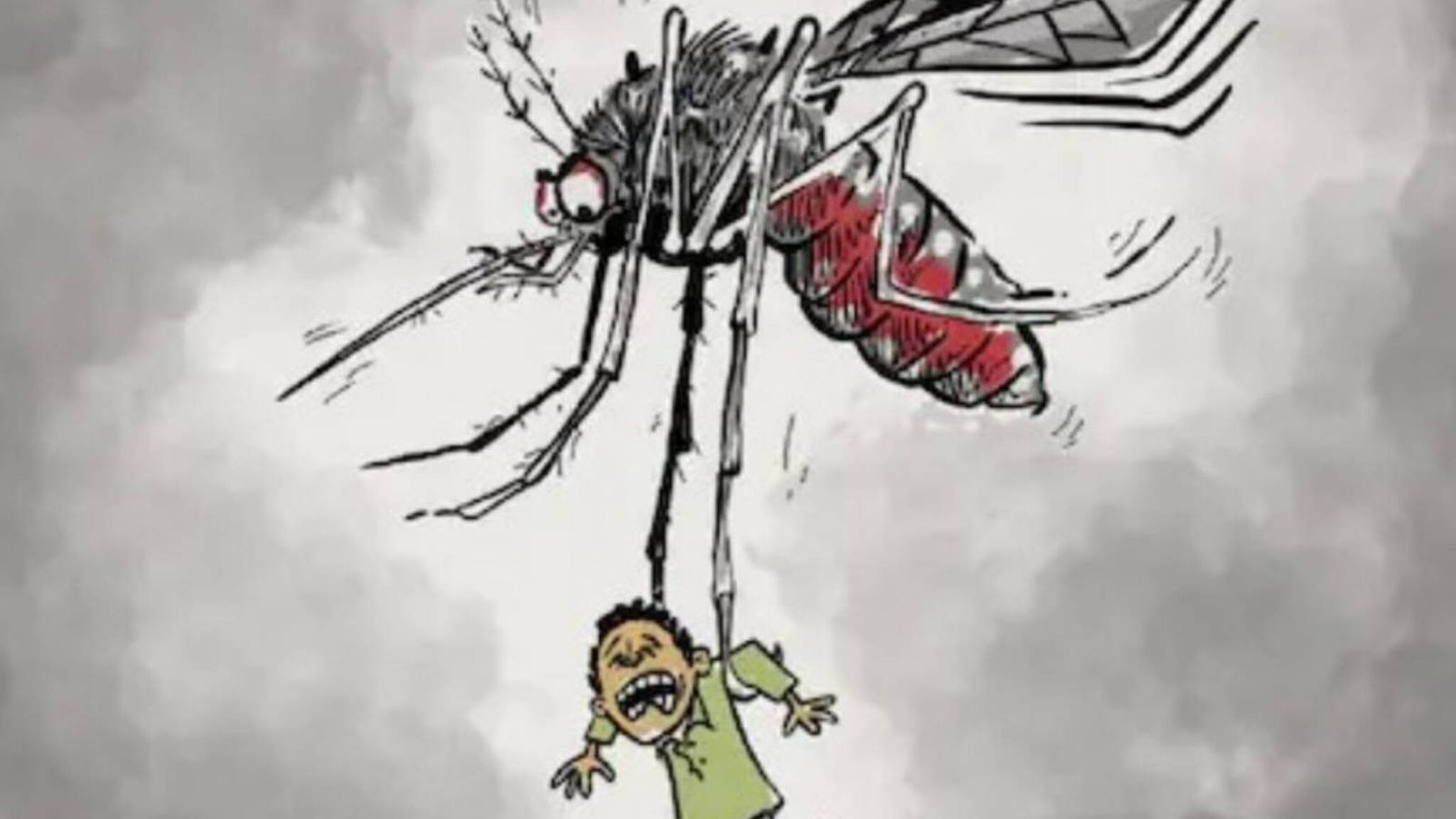 സംസ്ഥാനത്ത് ഡെങ്കിപ്പനി പടരുന്നു; എറണാകുളം ജില്ലയില്‍ 11 ദിവസത്തിനിടെ ആറു മരണം