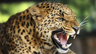 (പ്രതീകാത്മക ചിത്രം)