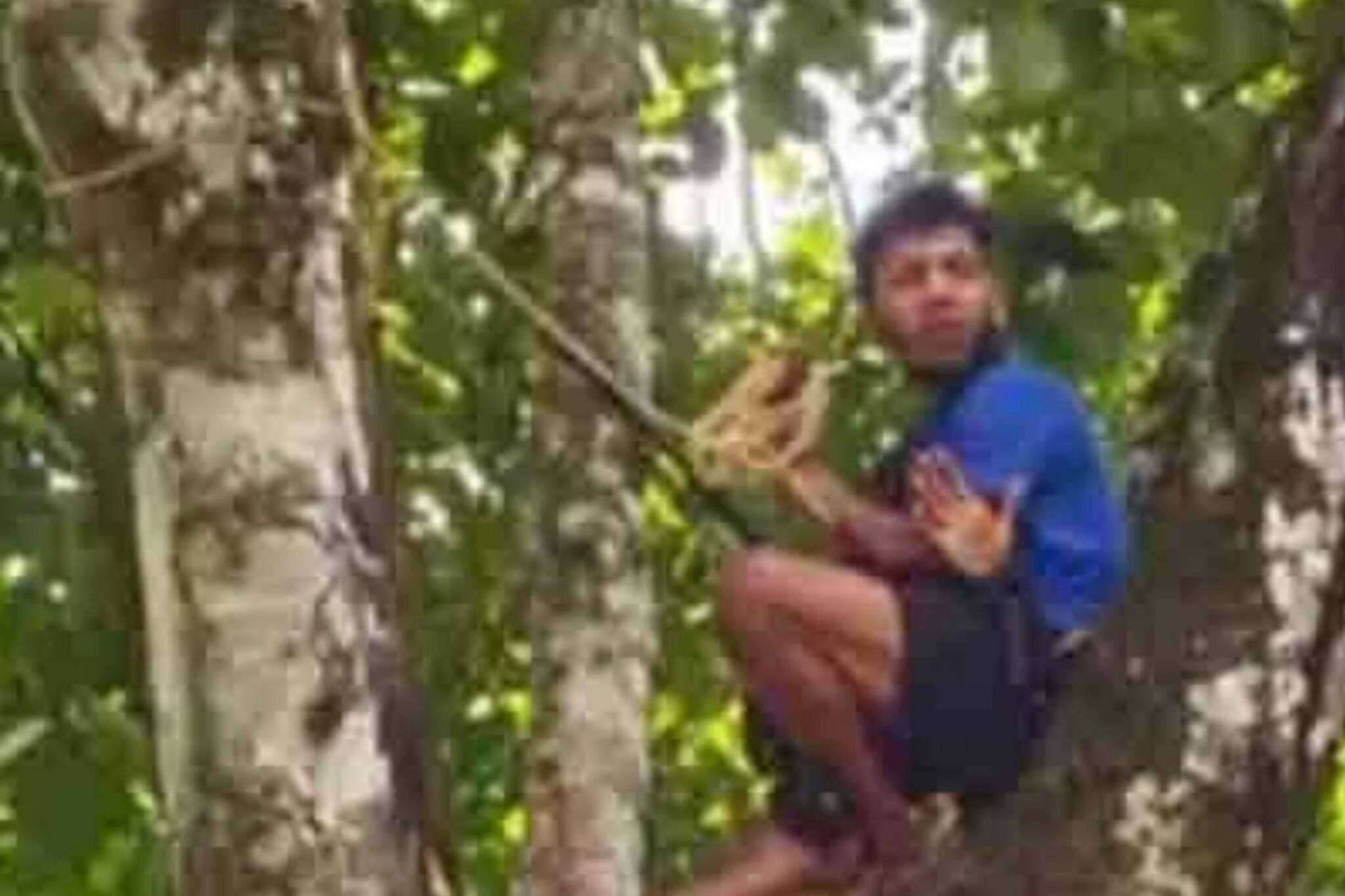 'കള്ളക്കേസിൽ കുടുക്കിയ വനംവകുപ്പ് ഉദ്യോഗസ്ഥർക്കെതിരെ നടപടി വേണം'; മരത്തിന് മുകളിൽ കയറിയ യുവാവിനെ താഴെയിറക്കി