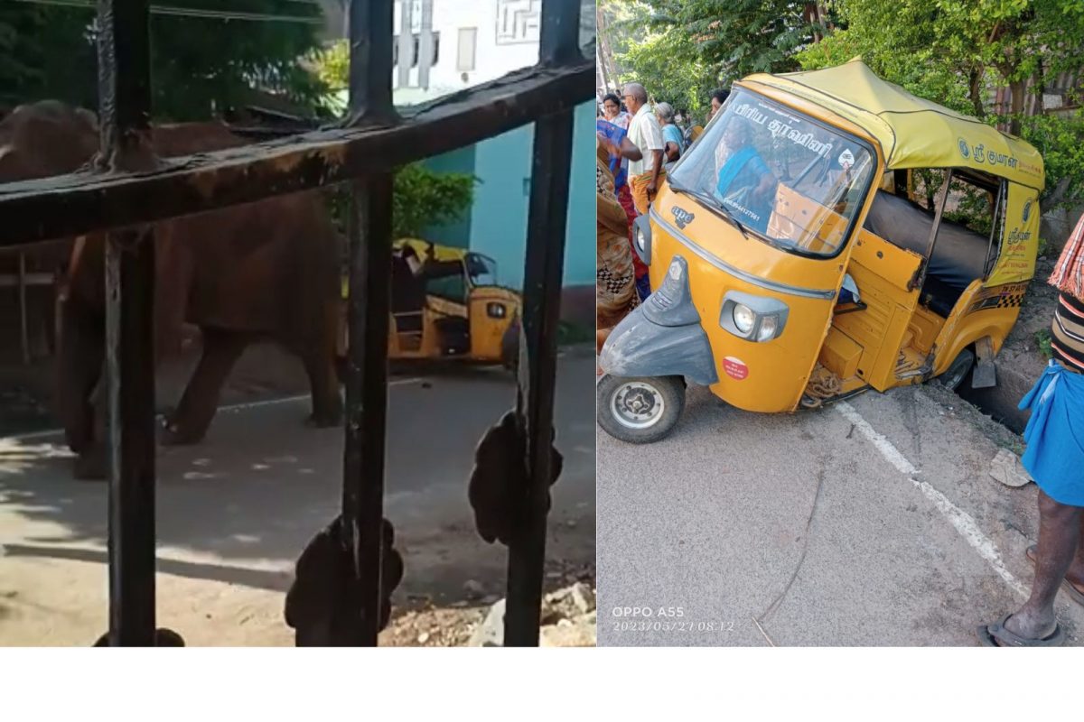 കമ്പത്ത് അരിക്കൊമ്പന്റെ ആക്രമണത്തിൽ പരിക്കേറ്റയാൾ മരിച്ചു