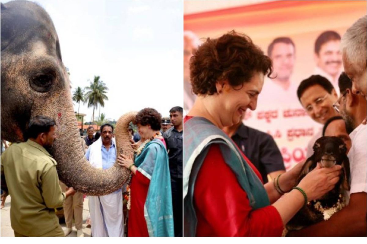 Priyanka Gandhi | 'കര്‍ണാടകയില്‍ നിന്ന് പുതിയ സുഹൃത്തുക്കളെ കിട്ടി' ചിത്രം പങ്കുവെച്ച് പ്രിയങ്കാ ഗാന്ധി