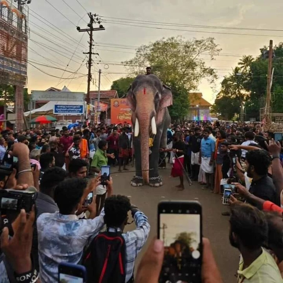  ചൊവ്വാഴ്ച്ച രാത്രി നടന്ന ഏഴാം ഉത്സവത്തിന്റെ വിളക്കെഴുന്നള്ളിപ്പിനാണ് ആനപ്രേമികളുടെ ഹരമായ തെച്ചിക്കോട്ടുക്കാവ് രാമചന്ദ്രന്‍ ഭഗവാന്റെ തിടമ്പേറ്റിയത്. (ചിത്രത്തിന് കടപ്പാട്: ഇൻസ്റ്റാഗ്രാം)