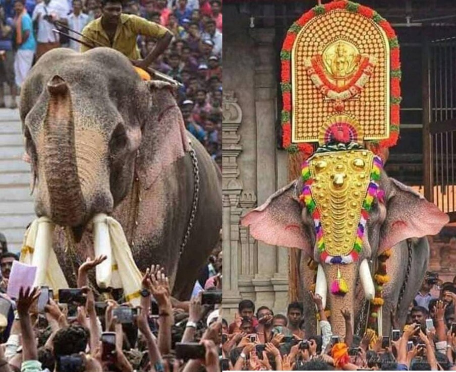  വൈകീട്ട് ആറുമണിയോടെ ക്ഷേത്ര പരിസരത്തെത്തിയ രാമനെ ഹര്‍ഷരവത്തോടെയാണ് ഉത്സവ പ്രേമികള്‍ സ്വീകരിച്ചത്.  