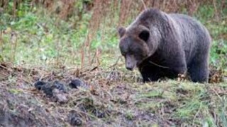 പ്രതീകാത്മക ചിത്രം പ്രതീകാത്മക ചിത്രം
