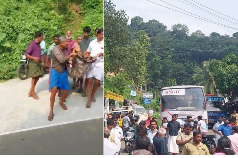 wild buffalo attack, kottayam, kanamala, sabarimala route, one died, kifa, കാട്ടുപോത്തിന്റെ ആക്രമണം, കണമല, ശബരിമല പാത, കോട്ടയം, വയോധികൻ മരിച്ചു, കിഫ