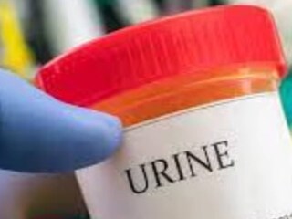 പ്രതീകാത്മക ചിത്രം