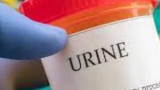 പ്രതീകാത്മക ചിത്രം