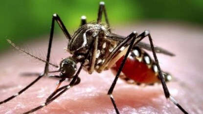 പ്രതീകാത്മക ചിത്രം പ്രതീകാത്മക ചിത്രം