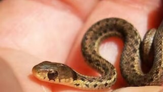 പ്രതീകാത്മക ചിത്രം