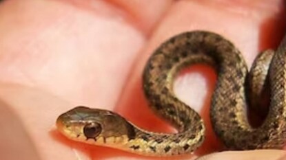 പ്രതീകാത്മക ചിത്രം പ്രതീകാത്മക ചിത്രം