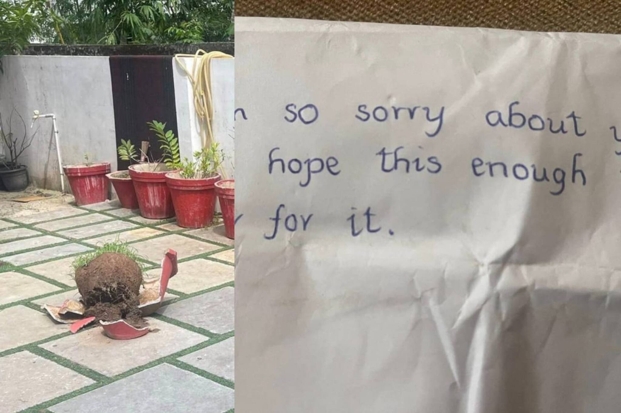 DYFI ഓഫീസിലെ ചെടിച്ചട്ടി പൊട്ടിച്ച അജ്ഞാതൻ മാപ്പ് ചോദിച്ച് പണവും നൽകി; കുറിപ്പ് പങ്കുവെച്ച് ചിന്താ ജെറോം