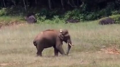 image: twitter image: twitter