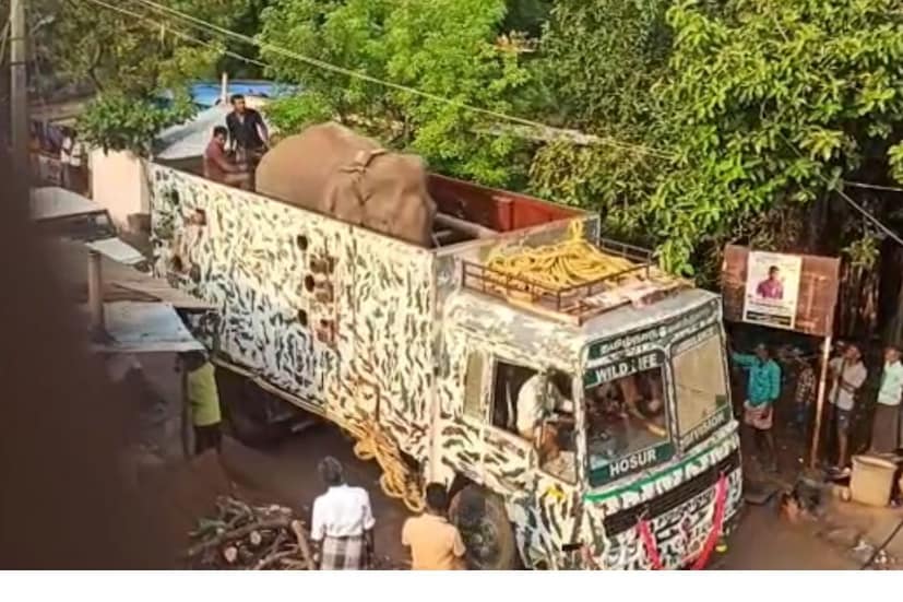  കമ്പം: ജനവാസമേഖലയിലിറങ്ങി പരിഭ്രാന്തി പരത്തിയ ഒറ്റയാൻ അരിക്കൊമ്പനെ തമിഴ്നാട് വനംവകുപ്പ് മയക്കുവെടി വച്ചു പിടികൂടി. രാത്രി 12.30ന് തേനി ജില്ലയിലെ പൂശാനം പെട്ടിക്കടുത്തുവച്ച് മയക്കുവെടി വച്ചത്. പൂശാനംപെട്ടിക്കു സമീപം ആന കാടുവിട്ടിറങ്ങിയിരുന്നു. ഇതോടെയാണ് മയക്കുവെടിവച്ചത്.
