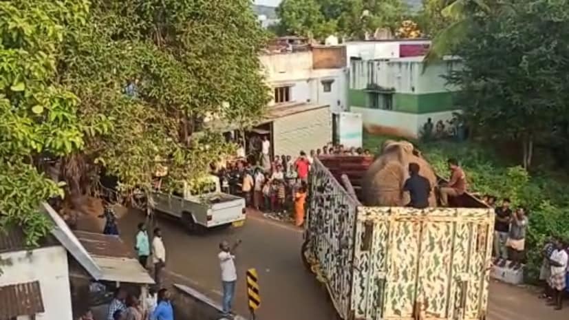  പിന്നാലെ അരിക്കൊമ്പന്റെ കാലുകൾ വടം ഉപയോഗിച്ച് ബന്ധിച്ച് എലിഫന്റ് ആംബുലൻസിൽ കയറ്റി മേഘമലയ്ക്ക് സമീപമുള്ള വെള്ളിമല വനത്തിലേക്ക് പുറപ്പെട്ടു. മയക്കുവെടിയേറ്റ അരിക്കൊമ്പൻ പാതിമയക്കം വിട്ട നിലയിലാണ്. വാഹനത്തിൽ നിന്ന് ബൂസ്റ്റർ ഡോസ് നൽകിയേക്കും.