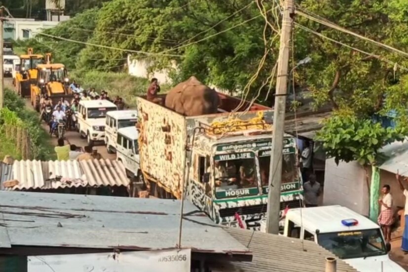  രാത്രി ജനവാസമേഖലയിൽ ഇറങ്ങിയതോടെയാണ് മയക്കുവെടിവച്ചത്. രണ്ടു ഡോസ് മയക്കുവെടി ഉപയോഗിച്ചെന്നാണ് സൂചന. പിന്നീട് ഒരു ബൂസ്റ്റർ ഡോസും നൽകി. മൂന്നു കുങ്കിയാനകളെ സ്ഥലത്തെത്തിച്ചിട്ടുണ്ട്. ആരോഗ്യ പരിശോധനയ്ക്കു ശേഷമാകും വനത്തിനുള്ളിലേക്കു കടത്തിവിടുക.