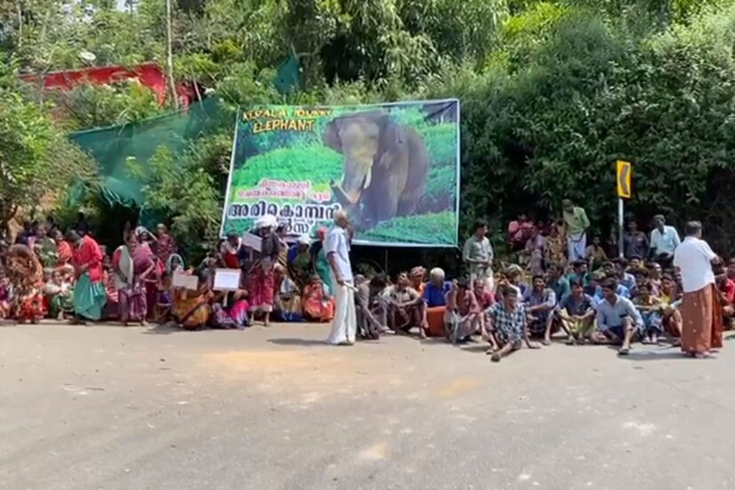  തുമ്പിക്കൈയിലെ മുറിവ് അപകടകരമായ രീതിയിലേയ്ക് മാറിയതായും ഇവർ പറയുന്നു.