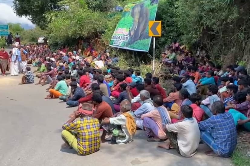  ആന ജനിച്ചു വളർന്ന മതികെട്ടാൻ വനമേഖലയിലേക്ക് തിരികെ എത്തിയ്ക്കുകയും കൃത്യമായ ചികിത്സ ലഭ്യമാക്കണമെന്നുമാണ് ആവശ്യം
