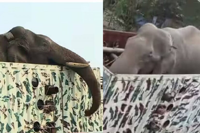  പത്തനംതിട്ട: ഇടുക്കി, ചിന്നക്കനാൽ മേഖലകളെ വിറപ്പിച്ച കാട്ടാന അരിക്കൊമ്പന് ഭാര്യയും രണ്ട് കുട്ടികളും ഉണ്ടെന്ന പ്രചാരണം അസംബന്ധമെന്ന് മൃഗസംരക്ഷണ വകുപ്പിലെ ഡോക്ടറം അരിക്കൊമ്പൻ ദൗത്യ സംഘത്തിലെ പ്രധാനിയുമായ ഡോ. അരുൺ സക്കറിയ. ആനകള്‍ക്ക് കുടുംബജീവിതമില്ലെന്നും അദ്ദേഹം വിശദീകരിച്ചു. പച്ചക്കാനം ഫോറസ്റ്റ് സ്റ്റേഷനില്‍ നടന്ന മാധ്യമസംവാദത്തില്‍ സംസാരിക്കുകയായിരുന്നു അദ്ദേഹം.