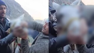 image: twitter video 