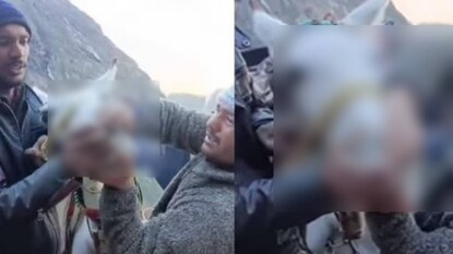 image: twitter video image: twitter video