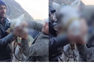 image: twitter video 