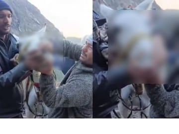 image: twitter video 