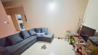 (ട്വീറ്റിലെ ചിത്രം)