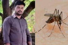 കേരളത്തിൽ ഡെങ്കിപ്പനി പടരുന്നു; ഒറ്റ ദിവസം സ്ഥിരീകരിച്ചത് 79 പേർക്ക്; പാലക്കാട് ഒരാൾ മരിച്ചു