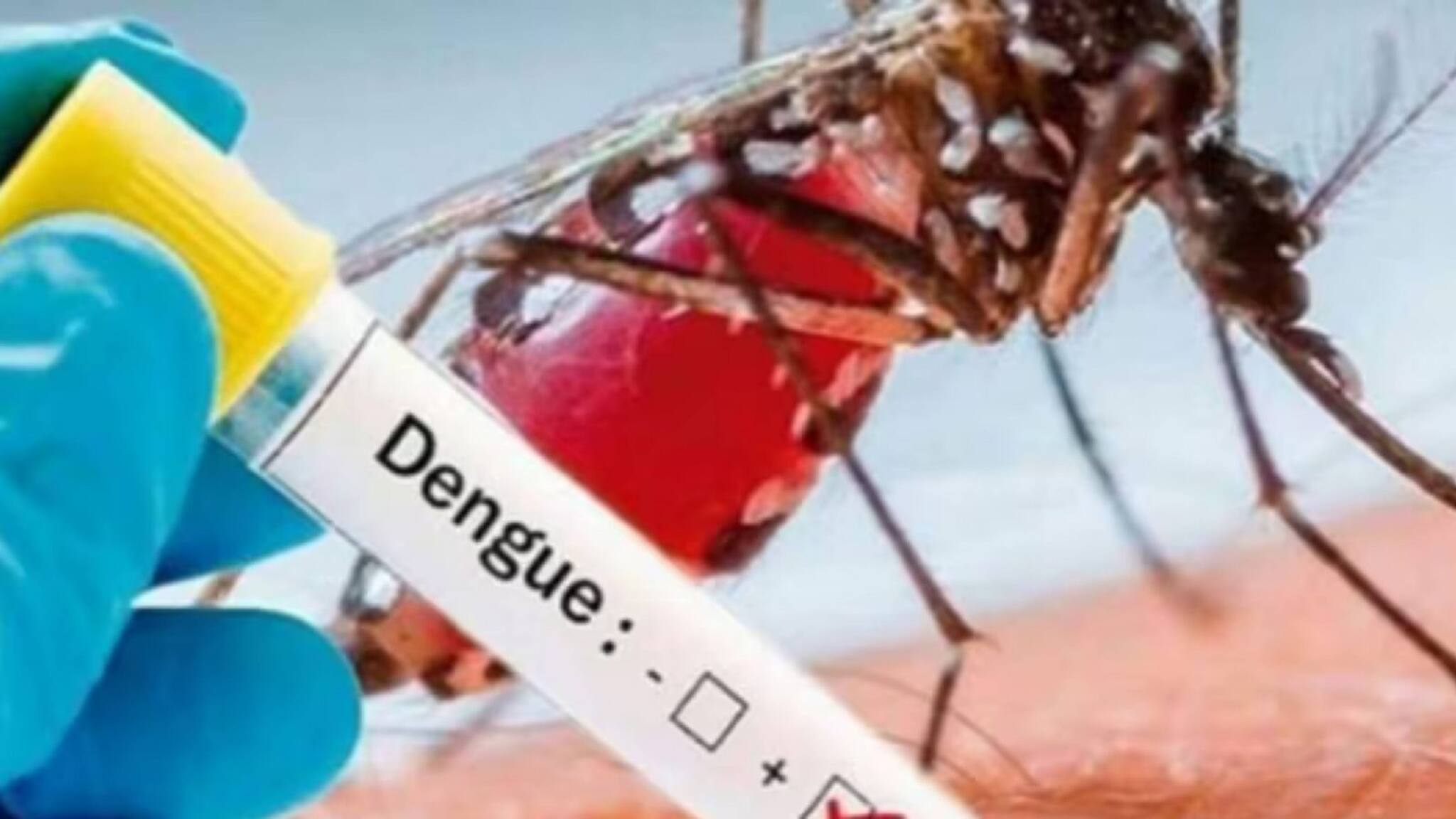 ഡെങ്കിപ്പനി നിസാരനല്ല; ലക്ഷണവും മുൻകരുതലും