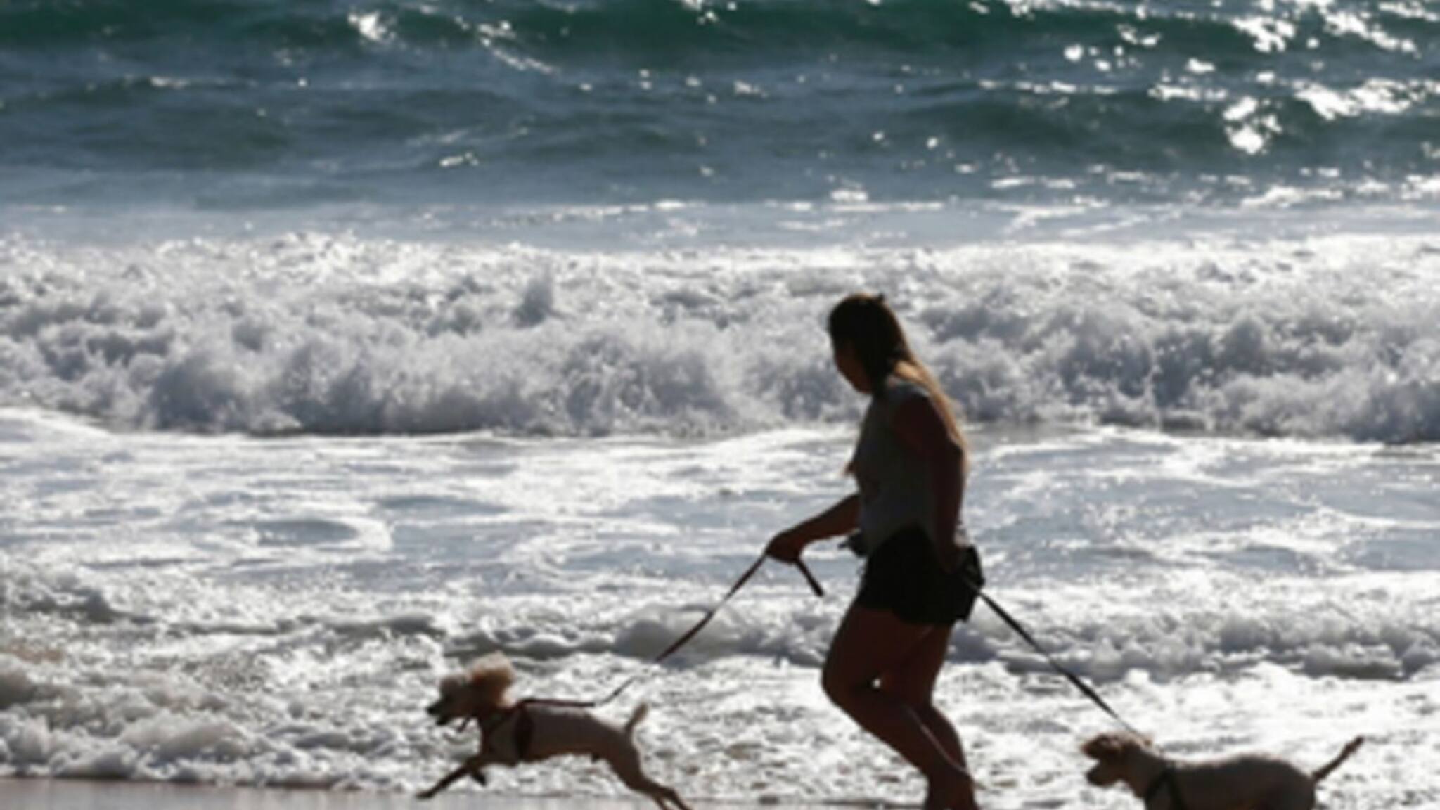 ബിരുദമൊന്നും വേണ്ട; ഈ ജോലി വൃത്തിയായി ചെയ്താല്‍ ഒരു കോടിയോളം വാര്‍ഷിക ശമ്പളം