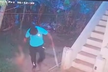 അമ്മയെ കടിച്ച വളർത്തുനായയെ വീട്ടിൽ അതിക്രമിച്ചുകയറി തല്ലിക്കൊന്നതായി പരാതി