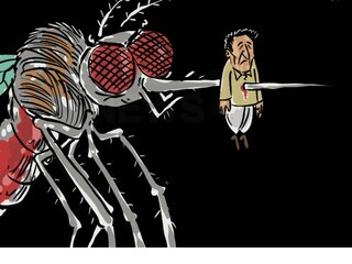 image: A News18 creative