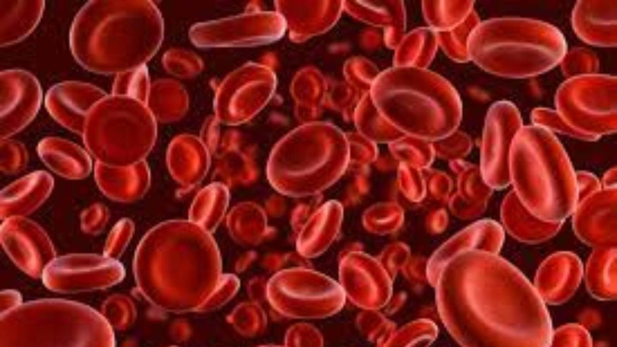 Health Tips | എന്താണ് ഹീമോഫീലിയ? പ്രധാന ലക്ഷണങ്ങൾ എന്തെല്ലാം?