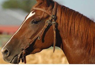 പ്രതീകാത്മക ചിത്രം പ്രതീകാത്മക ചിത്രം