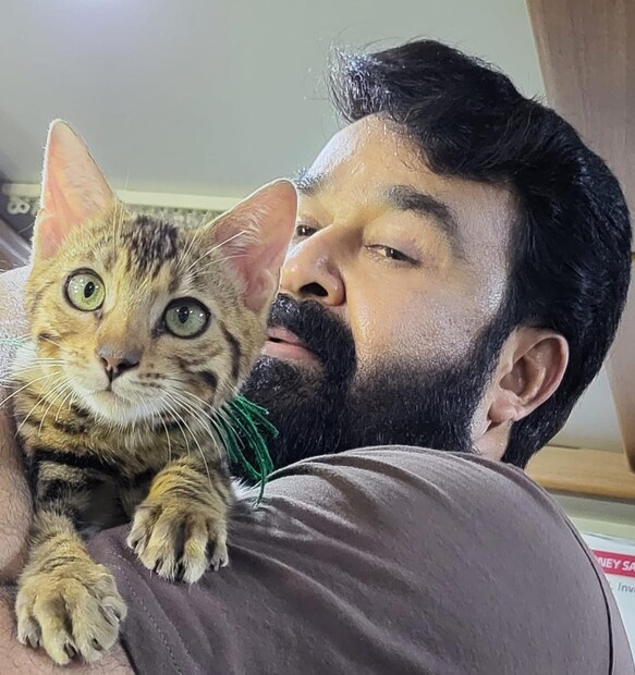  ഇതിൽ പുതിയതായി കുടുംബത്തിലേക്ക് വന്ന ഒരു പൂച്ചയുടെ കൂടി ചിത്രത്തിൽ ഉൾപ്പെടുത്താനുണ്ടെന്നായിരുന്നു മോഹൻലാൽ പറഞ്ഞത്. വളർത്തു മൃഗങ്ങളെ ക്യാൻവാസിൽ ഉൾപ്പെടുത്തുക എന്നത് ഭാര്യ സുചിത്രയുടെ ആശയമായിരുന്നെന്നും മോഹൻലാൽ പറഞ്ഞു.