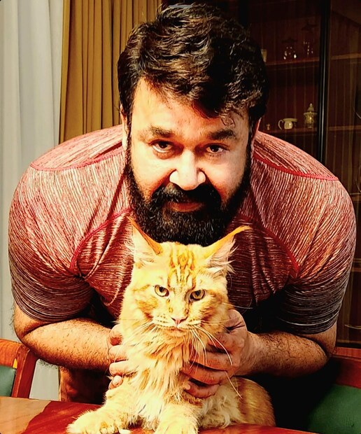  മോഹൻലാലിന്റെ വളർത്തു പൂച്ച സിമ്പ ഇതിനകം തന്നെ സോഷ്യൽ മീഡിയയ്ക്ക് സുപരിചിതനാണ്.