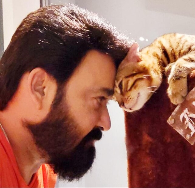  ഇപ്പോഴിതാ, തന്റെ വളർത്തുമൃഗങ്ങളായ കാസ്‌പറിനും വിസ്‌കിയ്ക്കുമൊപ്പമുള്ള ചിത്രം സോഷ്യൽ മീഡിയയിൽ പോസ്റ്റ് ചെയ്യുകയാണ് മോഹൻലാൽ.